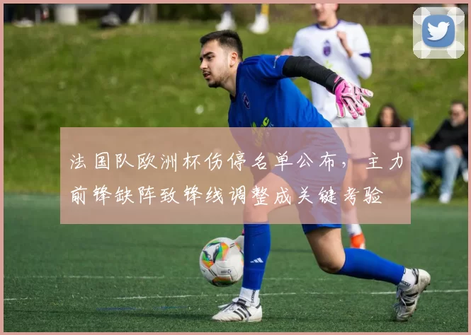 法国队欧洲杯伤停名单公布，主力前锋缺阵致锋线调整成关键考验