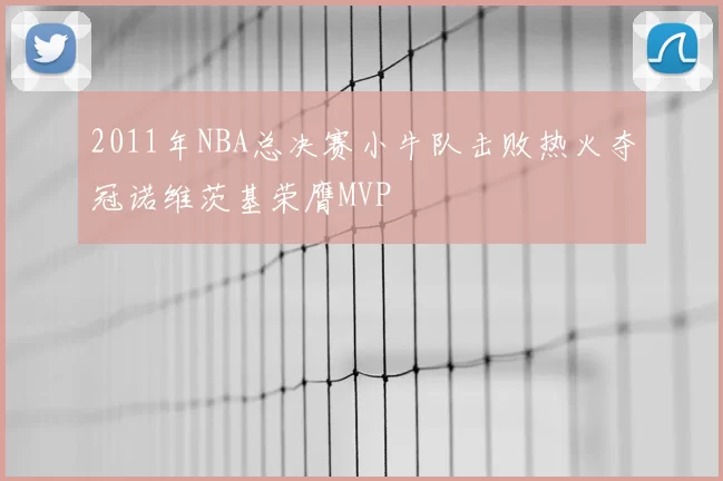 2011年NBA总决赛小牛队击败热火夺冠诺维茨基荣膺MVP