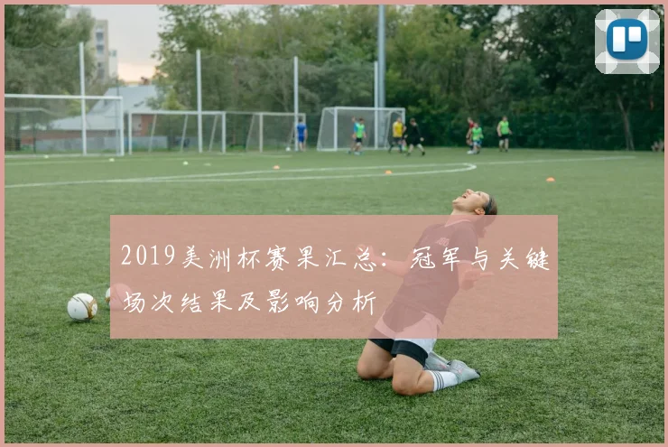 2019美洲杯赛果汇总：冠军与关键场次结果及影响分析